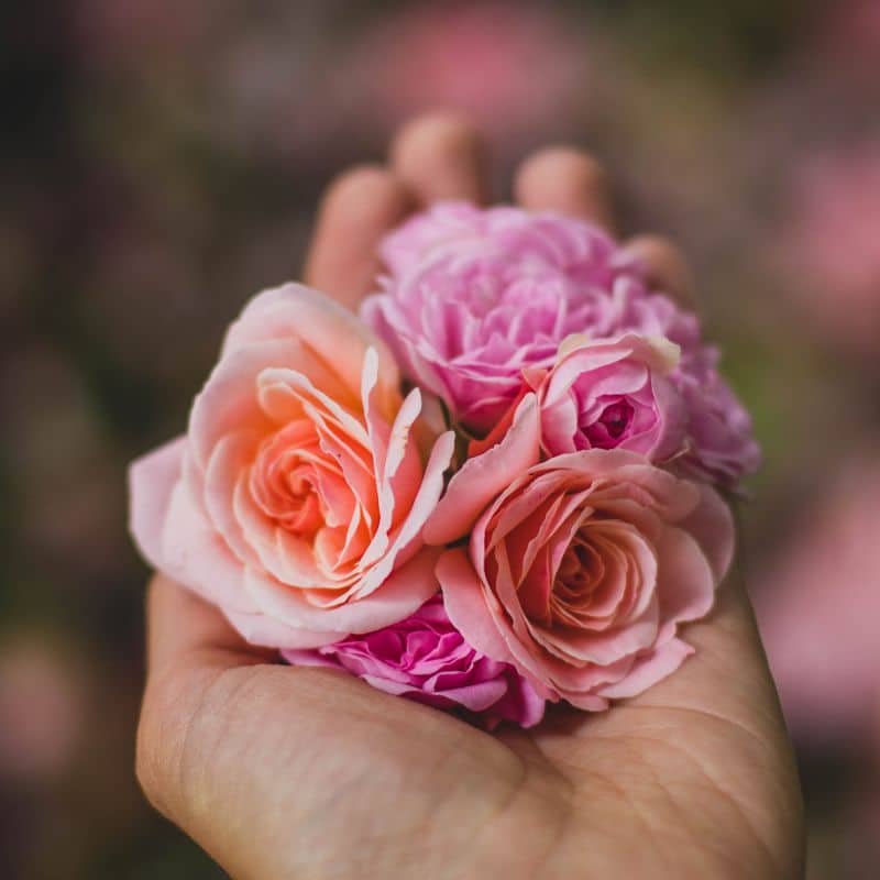 What Self Love Flower Should You Add To Your Self Care Ritual? - Tru&Well